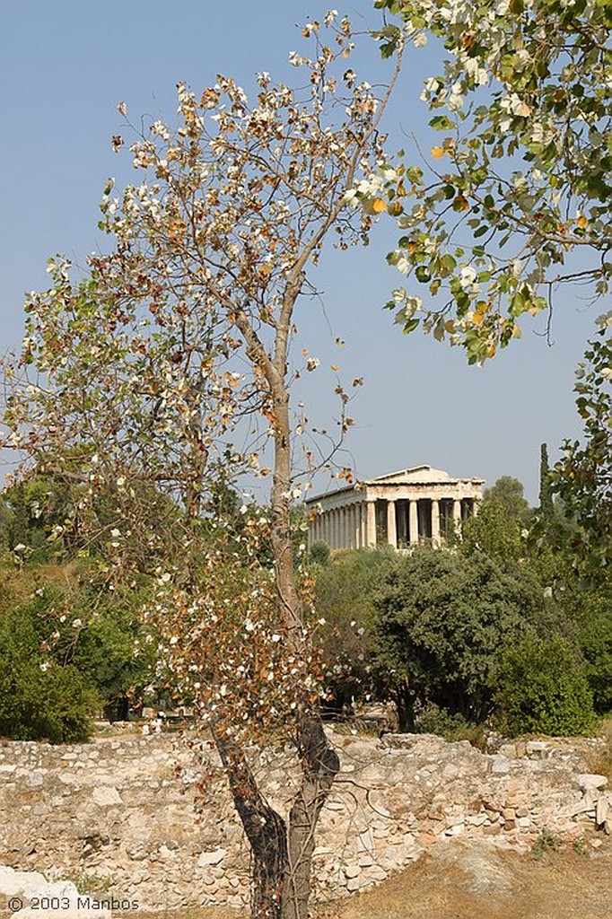 Atenas
Templo de Hefesto en Agora
Atica
