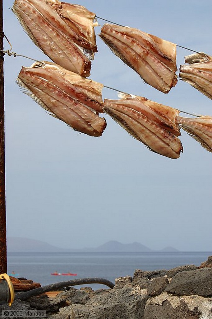 Lanzarote
Pinzas para colgar el pescado
Canarias
