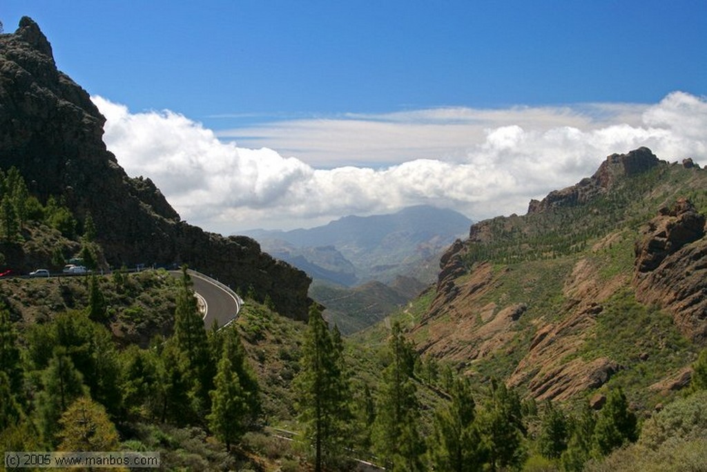 Gran Canaria
Subida hacia el Roque
Canarias