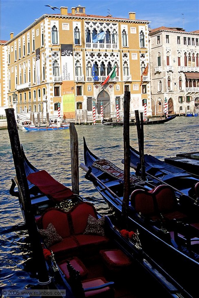 Venecia
Puente de la Academia
Venecia