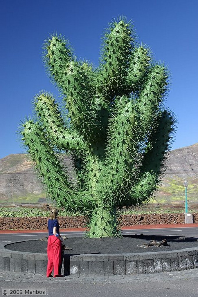 Lanzarote
Jardín de Cactus
Canarias