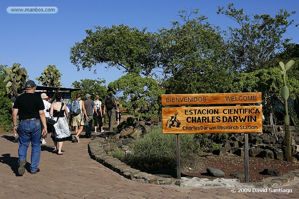 Islas Galapagos
Estación biologica Charles Darwin Santa Cruz Galápagos
Islas Galapagos