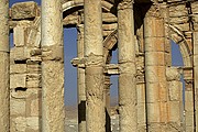 Objetivo 100 to 400
Palmira
Siria
PALMIRA
Foto: 18251