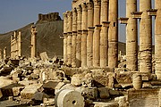 Objetivo 100 to 400
Palmira
Siria
PALMIRA
Foto: 18243