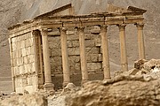 Objetivo 100 to 400
Palmira
Siria
PALMIRA
Foto: 18240