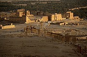 Objetivo 100 to 400
Palmira
Siria
PALMIRA
Foto: 18233
