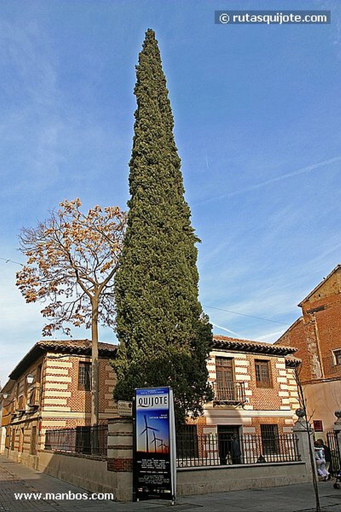 Alcala de Henares
Cigueñas en la torre del Ayuntamiento
Madrid