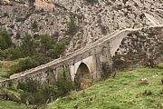 Camara Canon EOS 50D
Puente romanico de bocairent hacia el monasterio
Felipe Baldovi Borras
BOCAIRENT
Foto: 18025