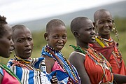Objetivo 100 to 400
Massai Mara
Kenia
MASSAI MARA
Foto: 16876