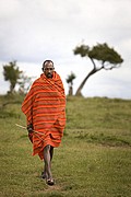 Objetivo 100 to 400
Massai Mara
Kenia
MASSAI MARA
Foto: 16875