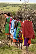 Objetivo 100 to 400
Massai Mara
Kenia
MASSAI MARA
Foto: 16874