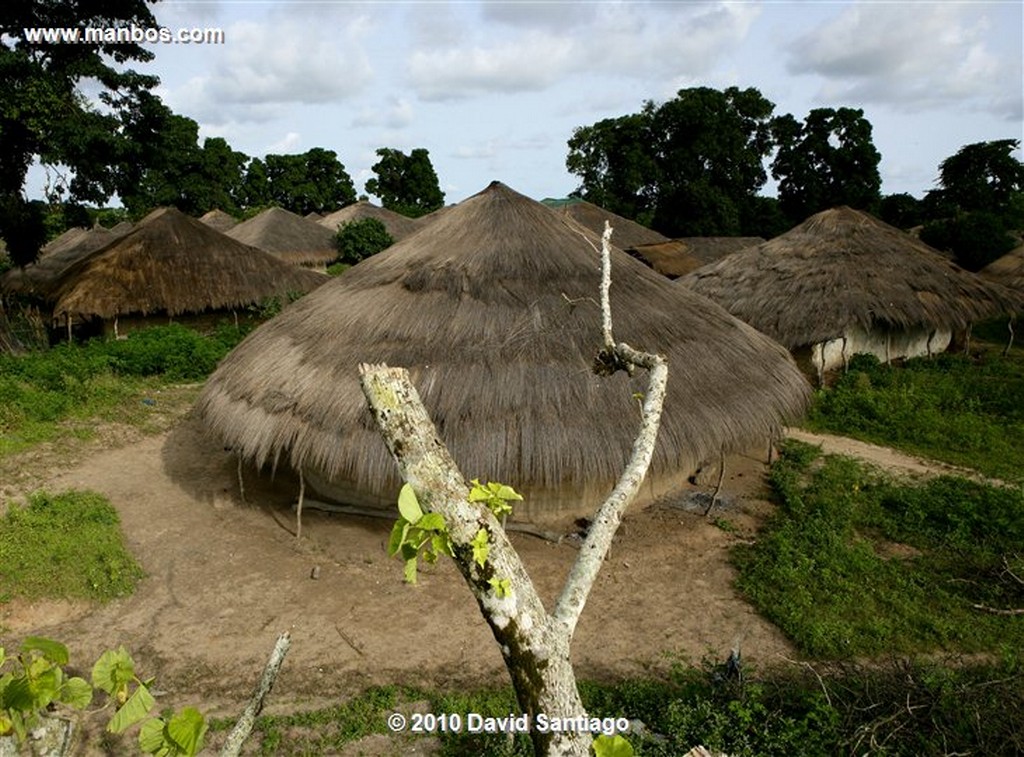 Islas Bijagos 
Tabanca Eticoga Parque Nacional Orango Bijagos Guinea Bissau 
Islas Bijagos 