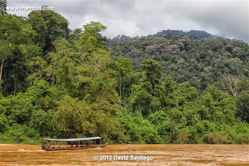 Taman Negara National Park
Kelantan - terengganu y pahang