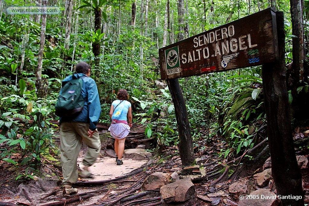 Parque Nacional Canaima
Subida a la base del Salto del Angel
Bolivar