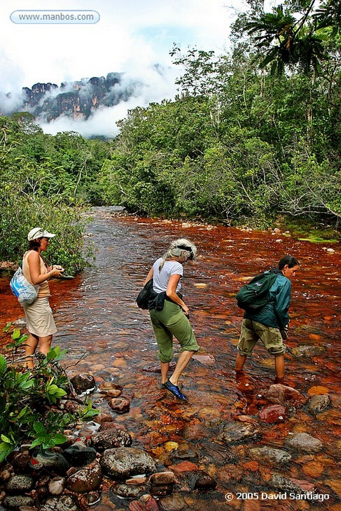 Parque Nacional Canaima
Curiara bajando por el rio Churun
Bolivar
