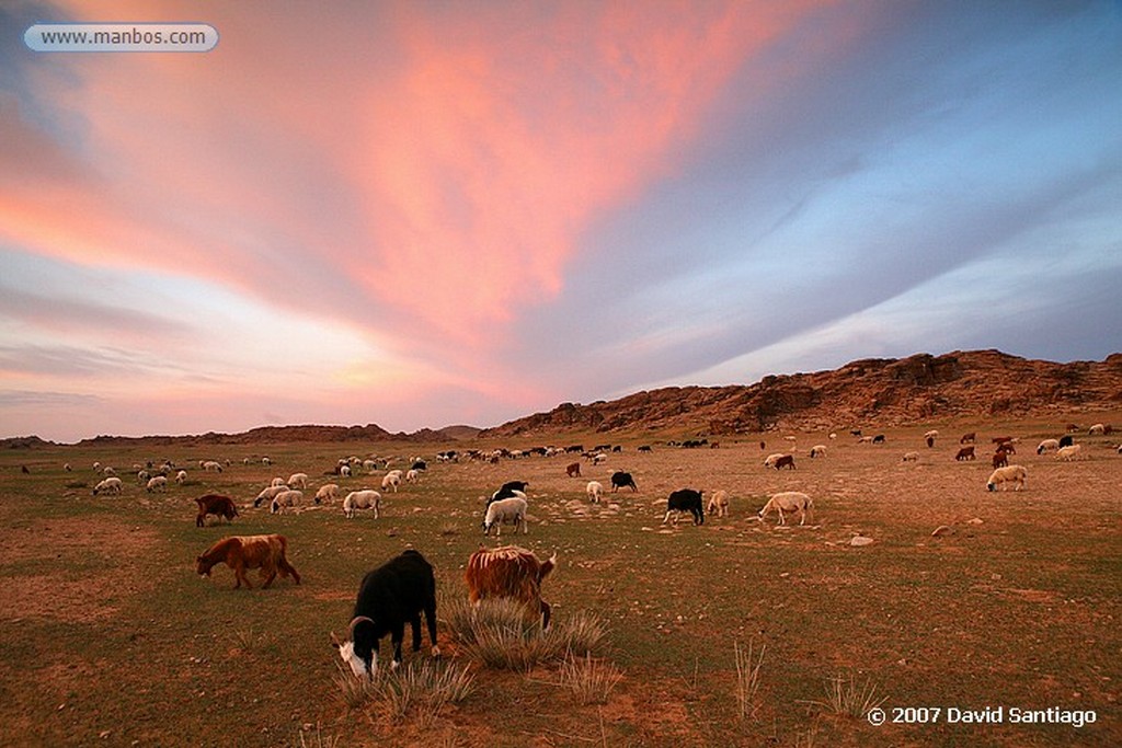 Desierto del Gobi
Cañón de Yolyn Am (Gobi)
Mongolia