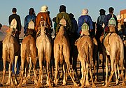 Objetivo EF 100 Macro
Carrera de Camellos en el Festival de Turismo Sahariano de Tamanrasset - Argelia
Argelia
TAMANRASSET
Foto: 16360