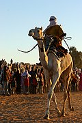 Objetivo EF 100 Macro
Carrera de Camellos en el Festival de Turismo Sahariano de Tamanrasset - Argelia
Argelia
TAMANRASSET
Foto: 16357