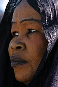 Objetivo EF 100 Macro
Mujeres Tuareg en Tamanrasset - Argelia
Argelia
TAMANRASSET
Foto: 16276