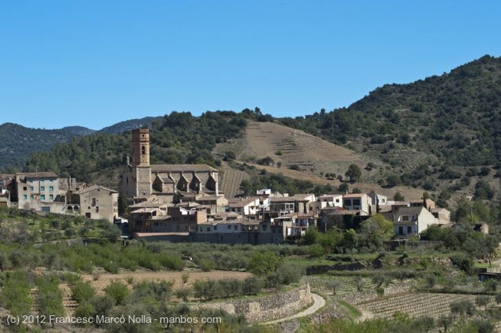 El Priorato
La Llicorella
Tarragona