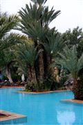 Camara NIKON D700
jardines la palmeraie-marrakech
Francesc Marcó Nolla
MARRUECOS 
Foto: 20853