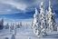 Laponia
Bosques nevados de Laponia
Laponia