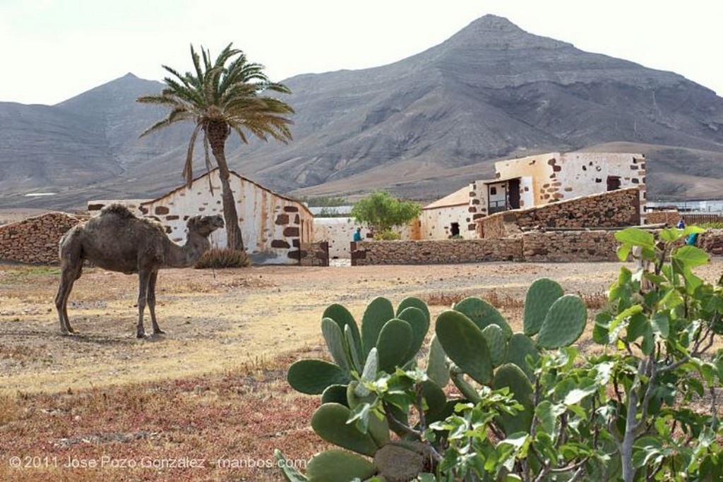 Tindaya
Ermita de Tindaya
Fuerteventura