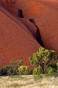 Objetivo 70 to 200
Cascadas de agua en el Uluru
Australia
PARQUE NACIONAL ULURU-KATA TJUTA
Foto: 14601