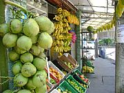 Camara Sony CyberShot DSC-S500
Mercado de frutas tropicales en la calle
Luciano de Rezende Silva
SALVADOR
Foto: 10584