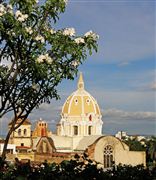 Camara SP560UZ
Cupula de Iglesia de San Pedro Claver 
Colombia
CARTAGENA 
Foto: 19494