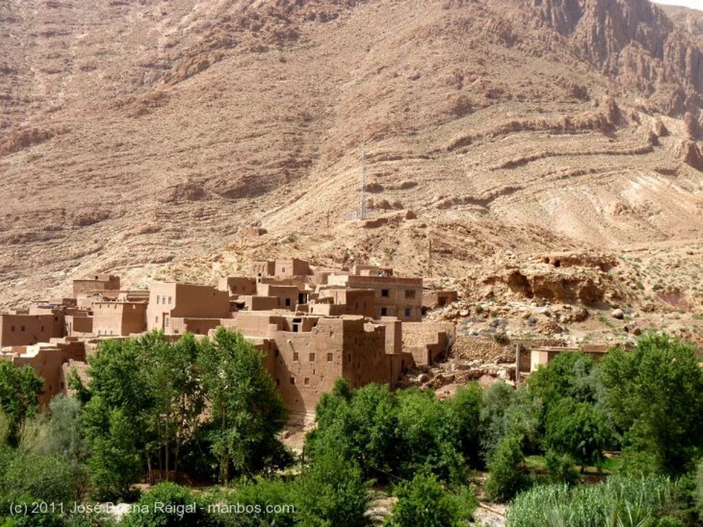 Gargantas del Todra
Palmeral y huertos
Ouarzazate