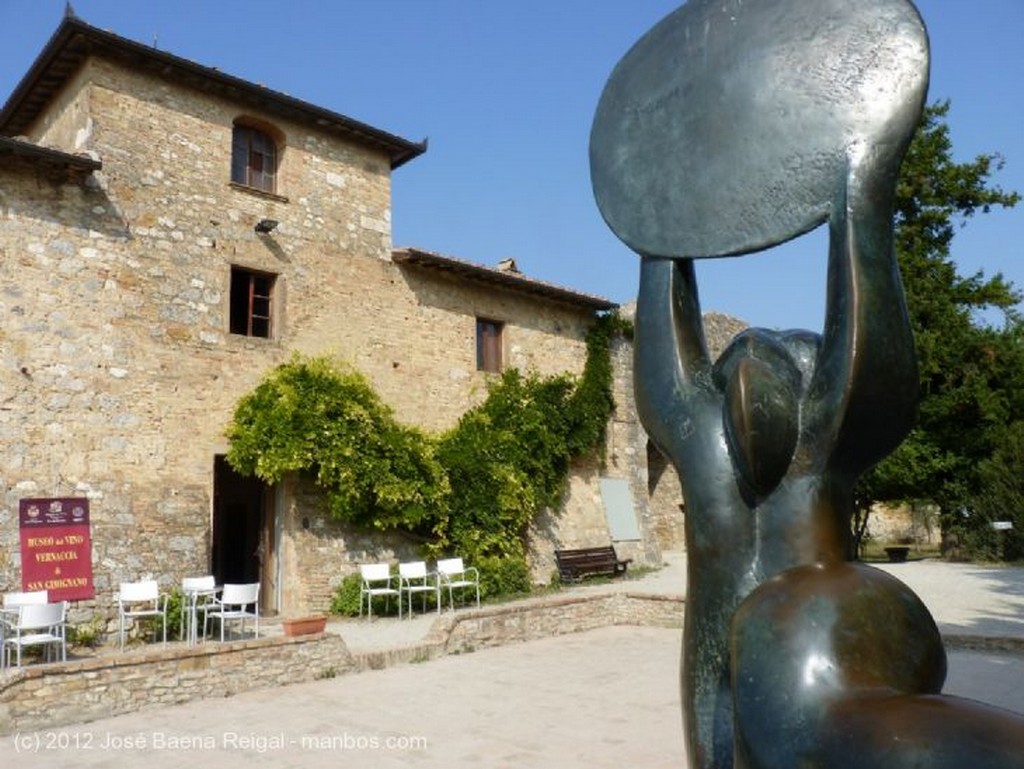 San Gimignano
Pinos y olivos
Siena