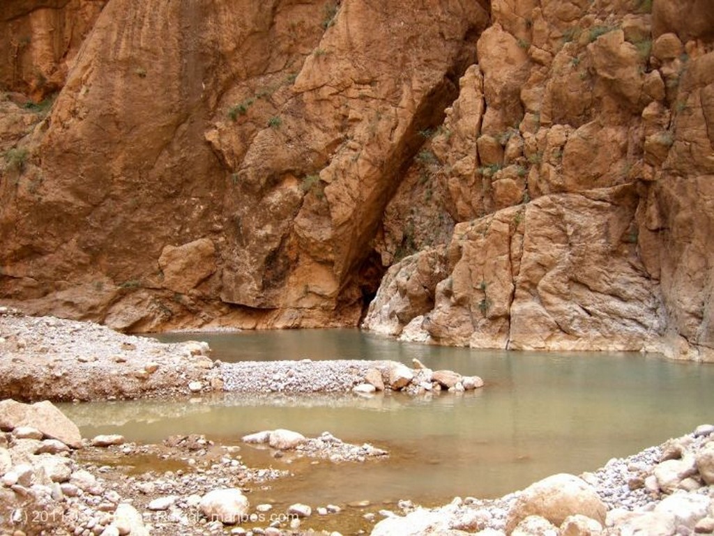 Gargantas del Todra
En el manantial
Ouarzazate
