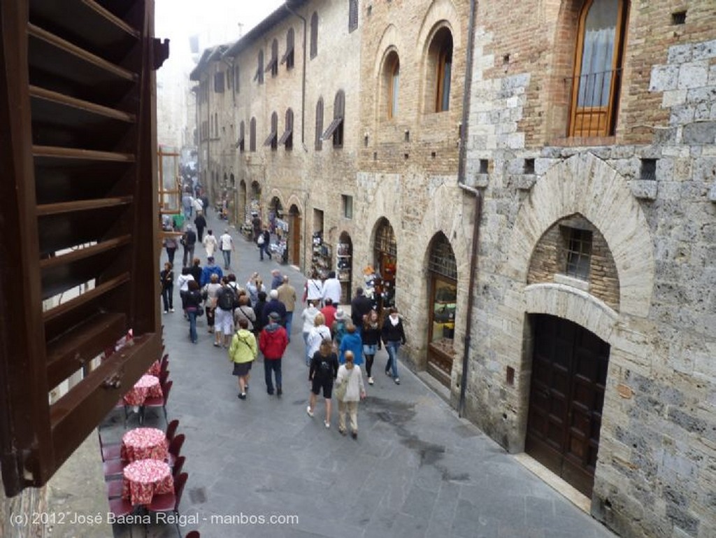 San Gimignano
Arboles fantasmales
Siena