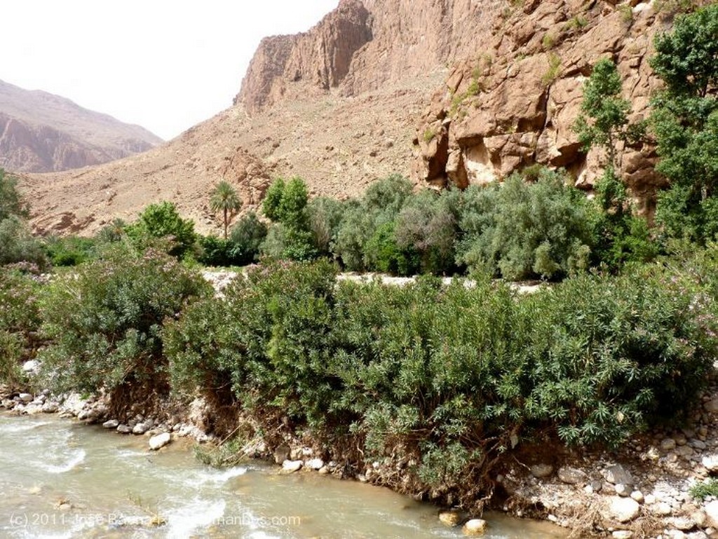 Gargantas del Todra 
Chaval amazigh
Ouarzazate