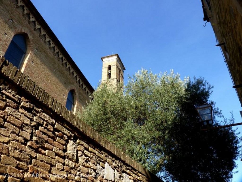 San Gimignano
Terraza sombreada
Siena