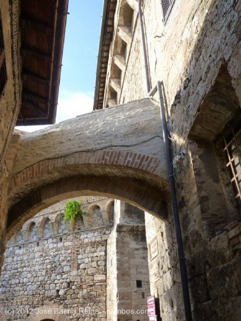 San Gimignano
Olivos urbanos
Siena