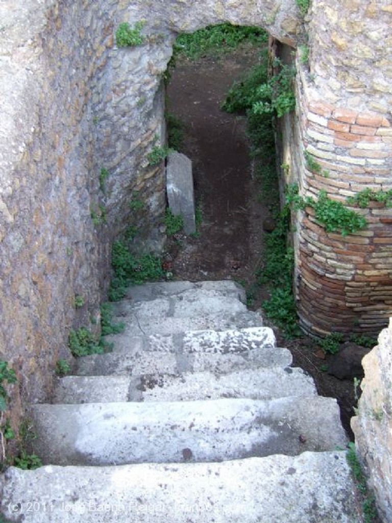 Ostia Antica
Via de los Foros
Roma