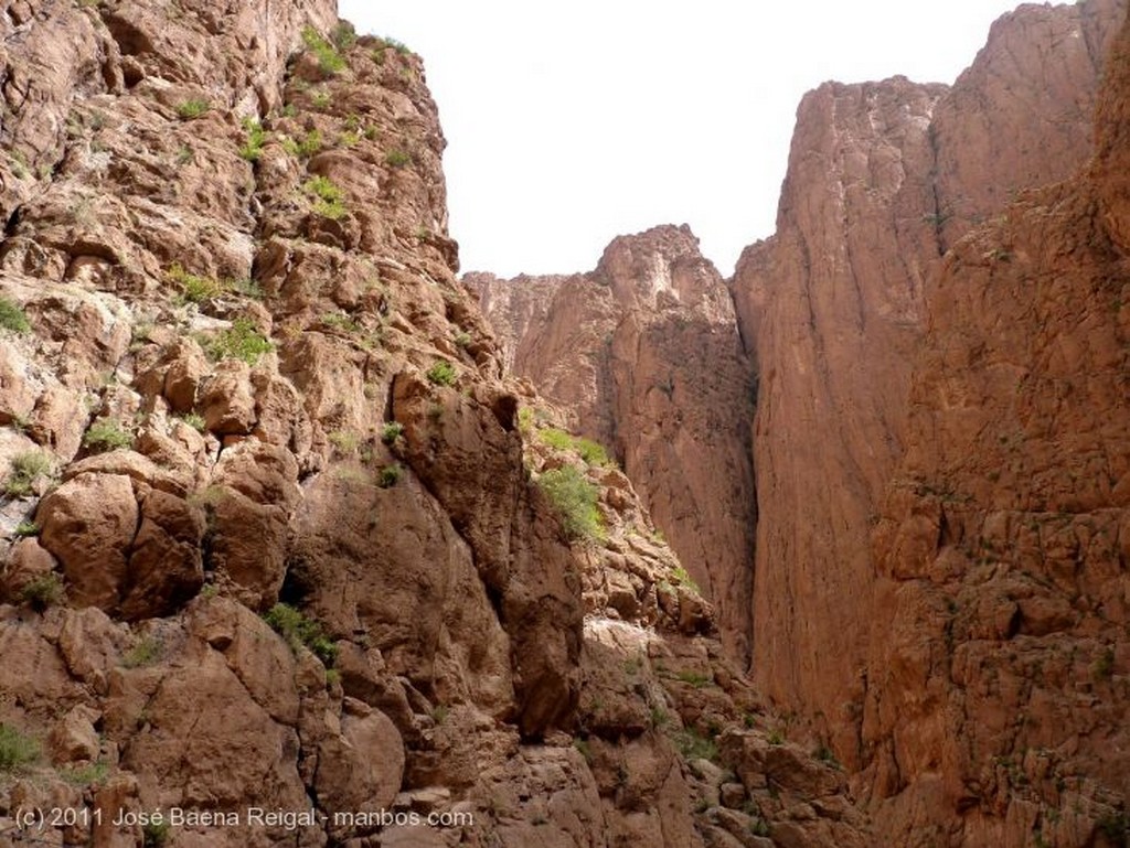 Gargantas del Todra
Un lugar imponente
Ouarzazate