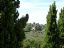 Montepulciano
Alqueria en el olivar
Siena
