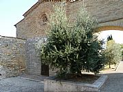 Iglesia de San Jacopo al Tempio  , San Gimignano, Italia