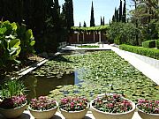 Jardin Botanico La Concepcion , Malaga, España